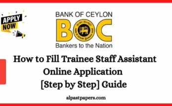 How to Fill or Apply BOC Trainee Staff Assistant 2021 Application Bank of Ceylon Video Guide