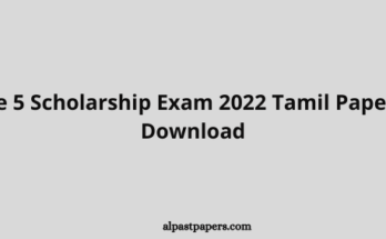 Grade 5 Scholarship Exam 2022 Tamil Paper PDF Download